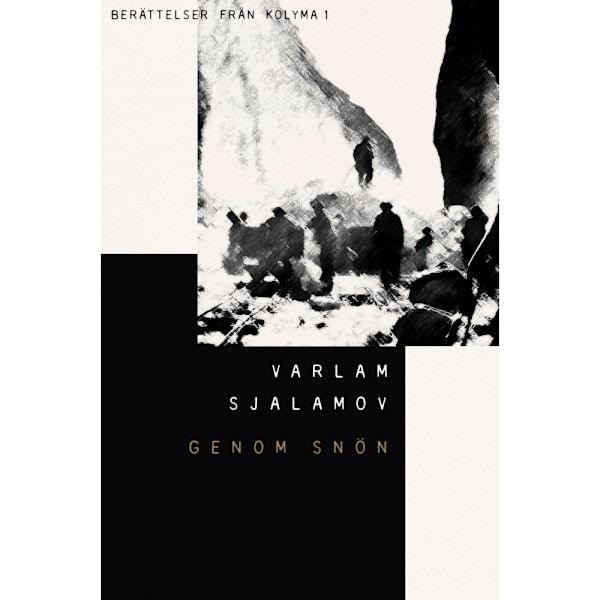 Genom snön (bok, storpocket)