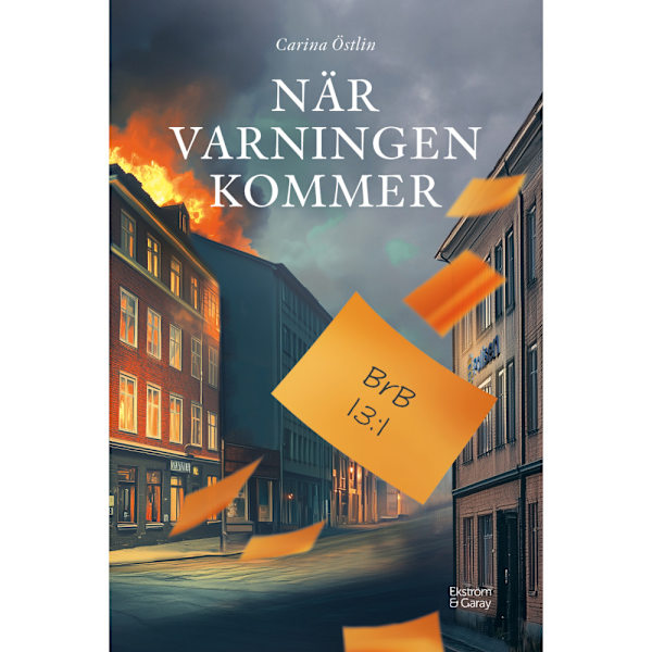 När varningen kommer (inbunden)