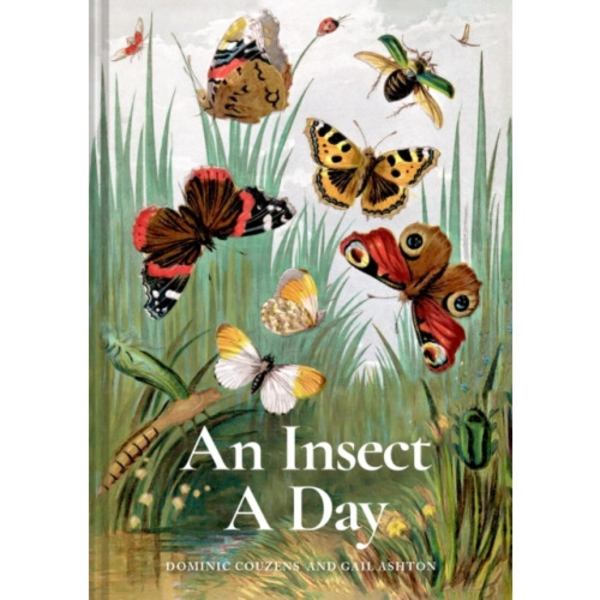 An Insect A Day (inbunden, eng)