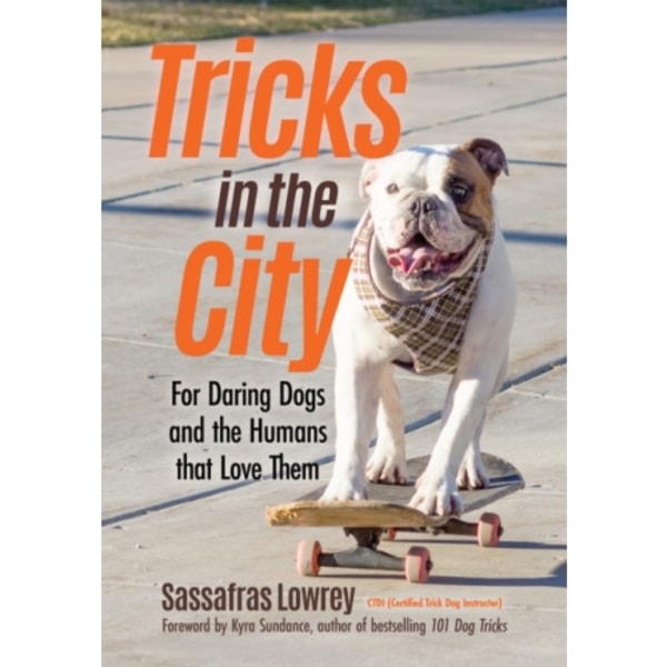 Tricks in the City (häftad, eng)