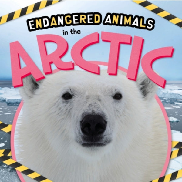 In the Arctic (inbunden, eng)