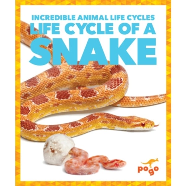 Life Cycle of a Snake (inbunden, eng)