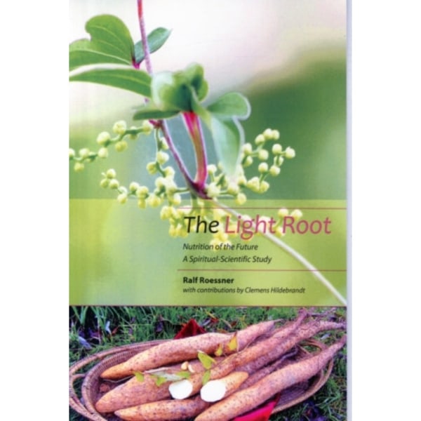 The Light Root (häftad, eng)
