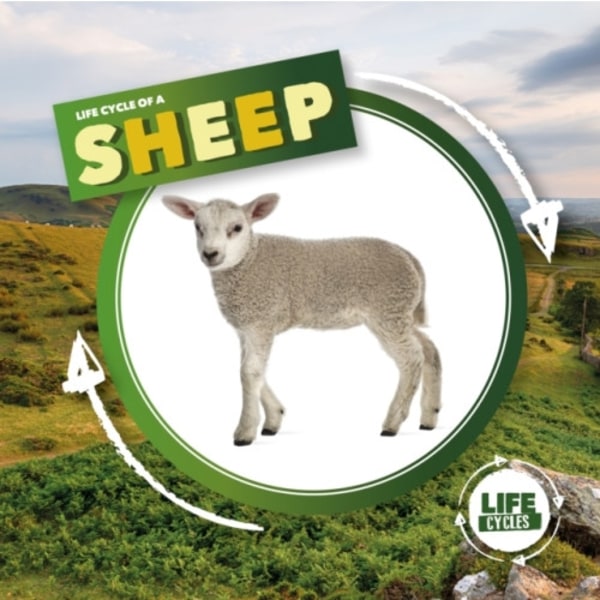Life Cycle of a Sheep (inbunden, eng)