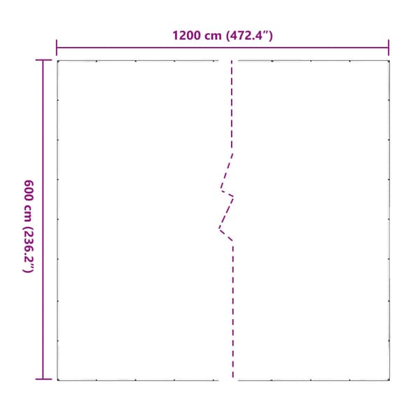 Tarpulin Transparent 6 x 12 m PVC