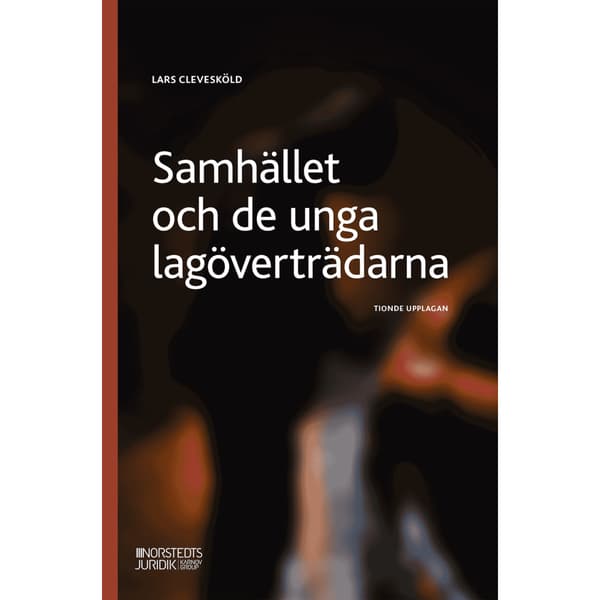 Samhället och de unga lagöverträdarna (häftad)