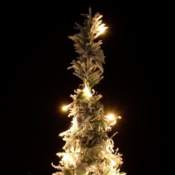 Plastgran pop-up med snö 150 LED 180 cm