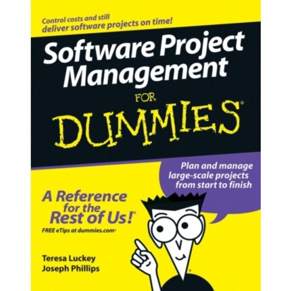 Software Project Management For Dummies (häftad, eng)