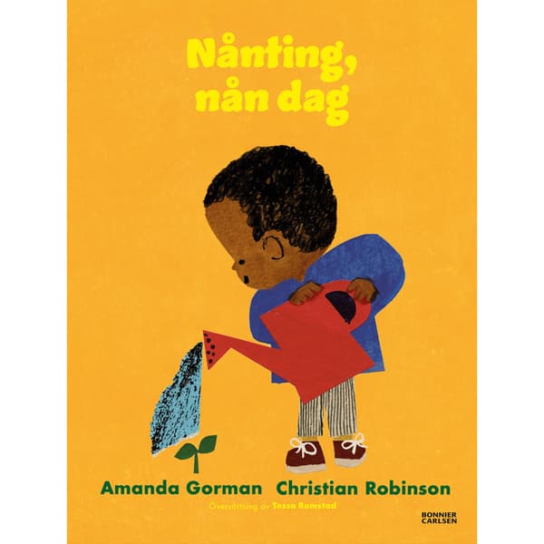 Nånting, nån dag (inbunden)