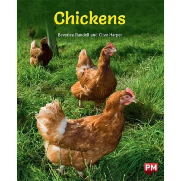 CHICKENS (häftad, eng)