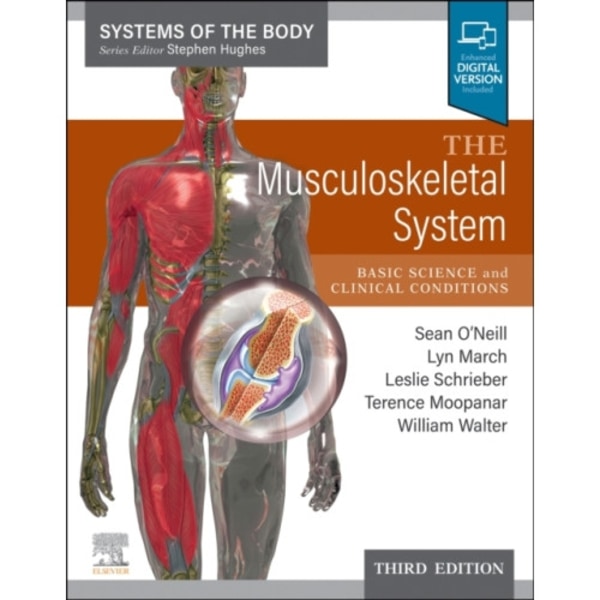 The Musculoskeletal System (häftad, eng)