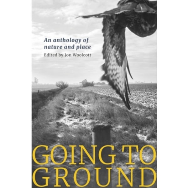 Going to Ground (häftad, eng)