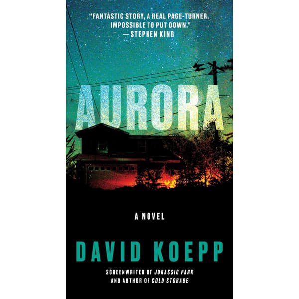 Aurora: A Novel (pocket, eng)
