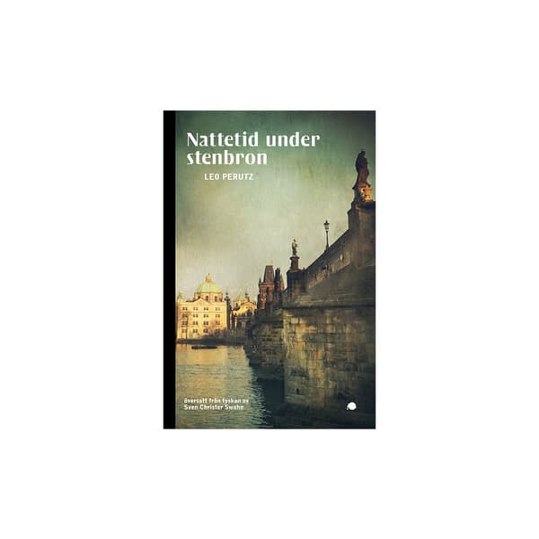 Nattetid under stenbron (bok, flexband)