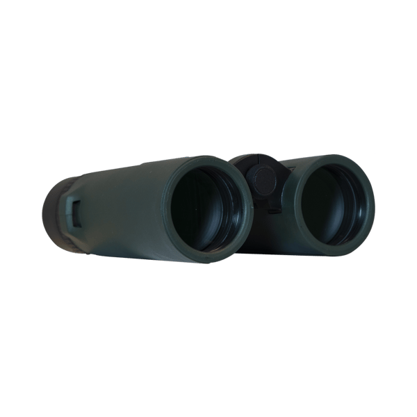 Focus Observer 8x42 HD