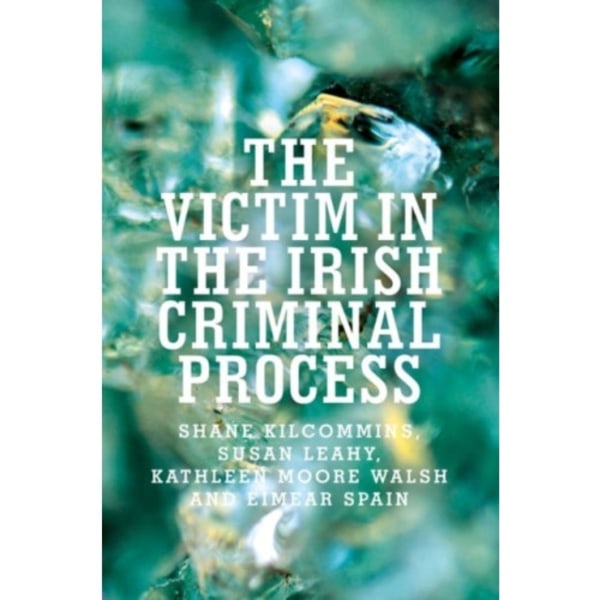 The Victim in the Irish Criminal Process (häftad, eng)