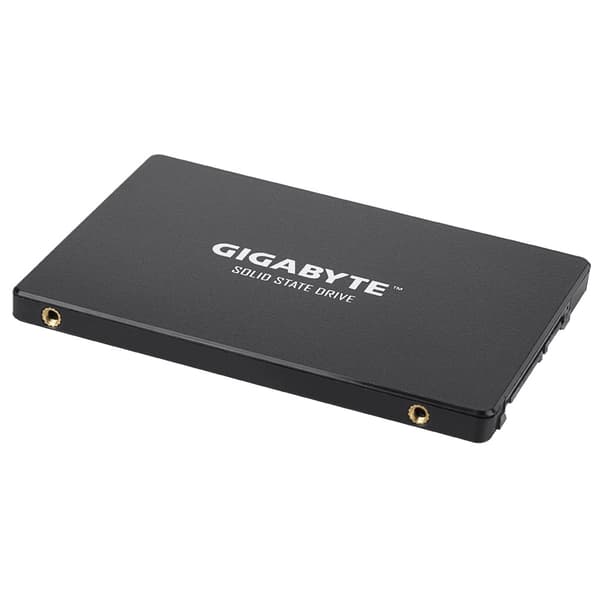 Gigabyte GP-GSTFS31100TNTD SSD-hårddisk 2.5" 1 TB SATA