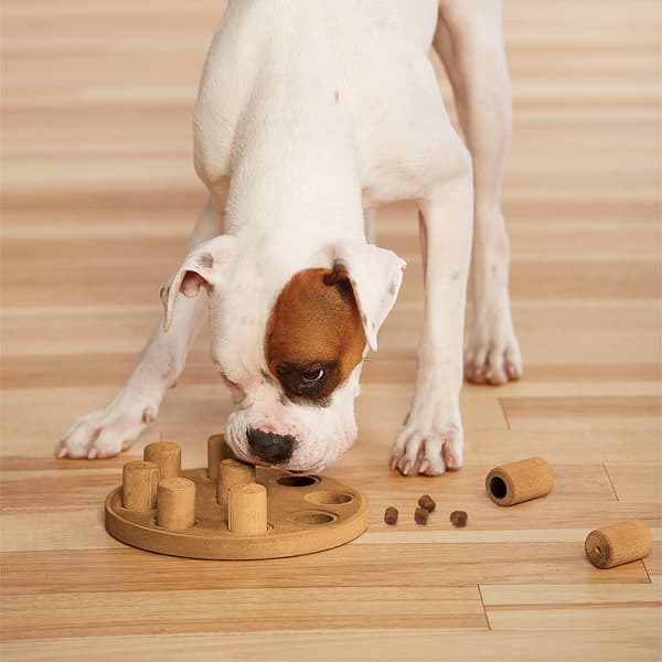 DogSmart Composite Orange Nina Ottosson 28x28x4 cm
