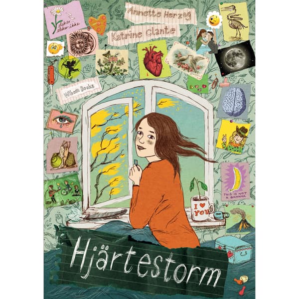 Hjärtestorm (häftad)