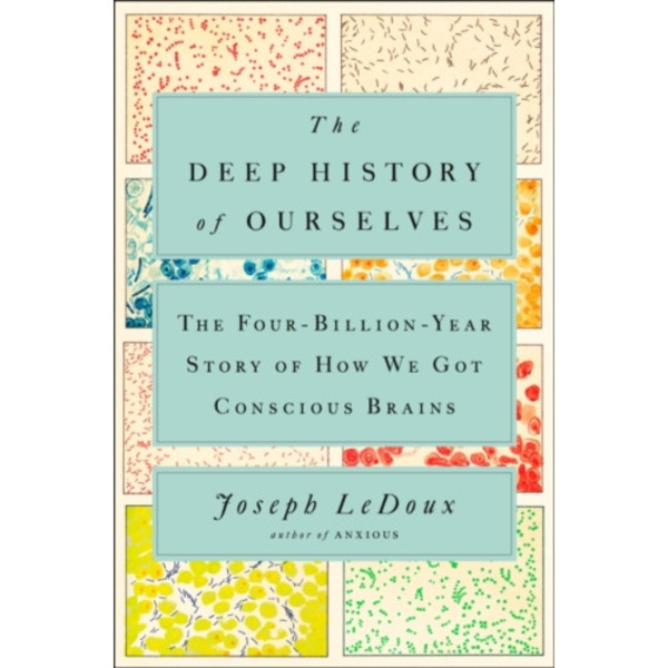 The Deep History of Ourselves (inbunden, eng)