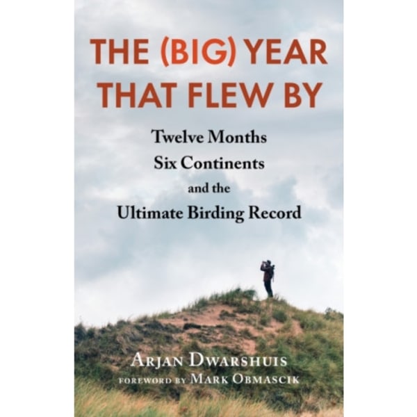 The (Big) Year that Flew By (häftad, eng)