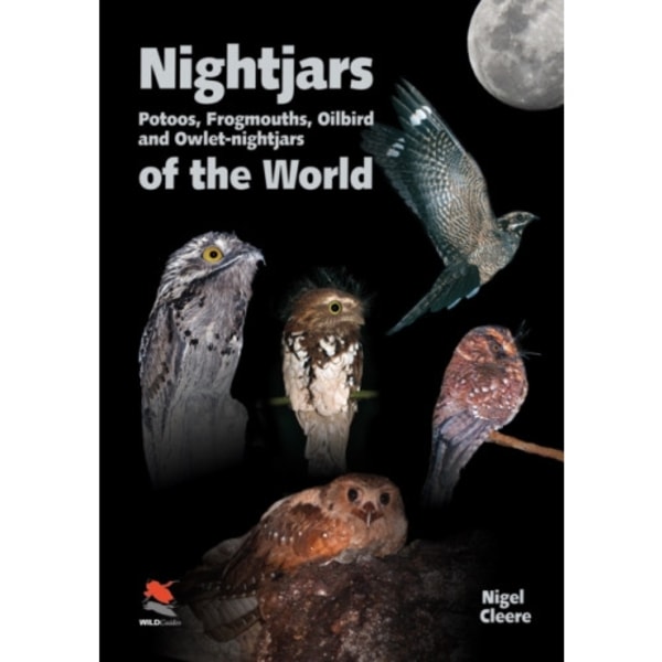 Nightjars, Potoos, Frogmouths, Oilbird, and Owlet–nightjars of the World (inbunden, eng)