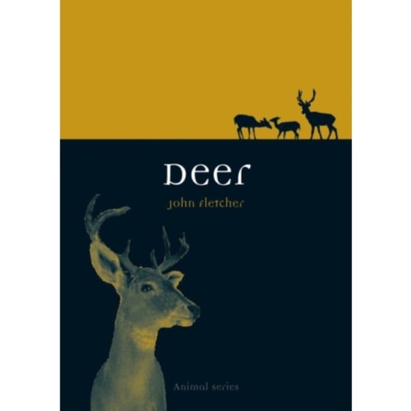 Deer (häftad, eng)