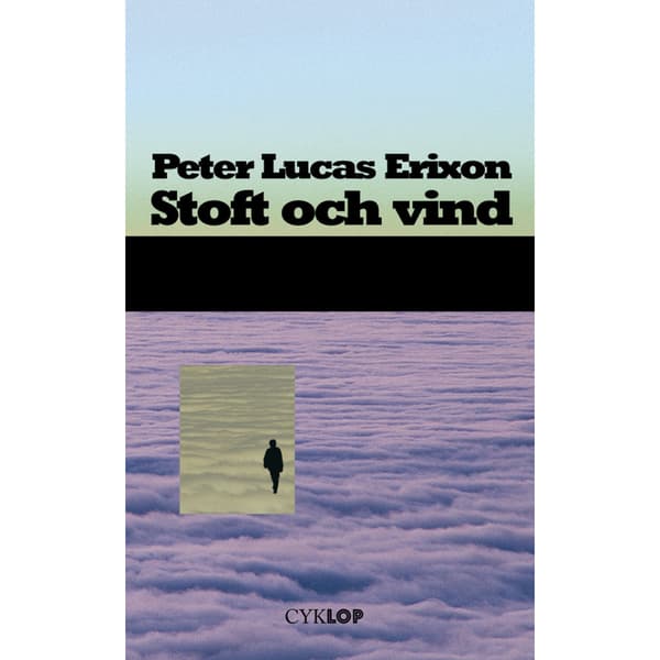 Stoft och vind : roman (häftad)