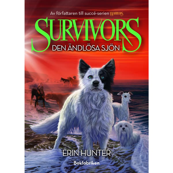 Den ändlösa sjön (bok, kartonnage)