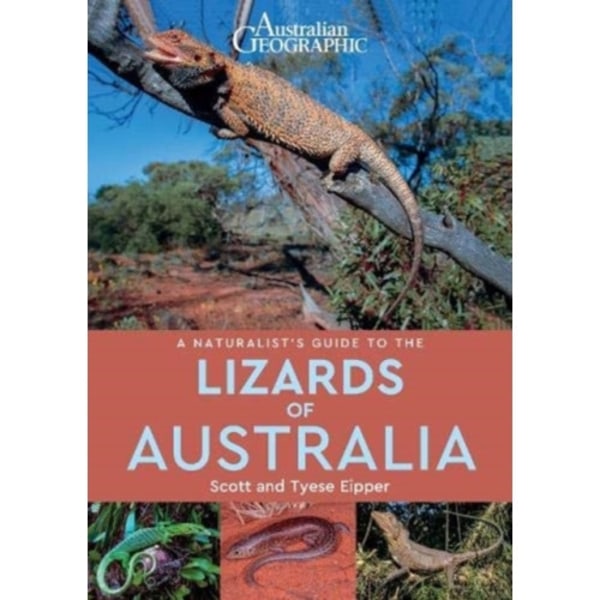 A Naturalist's Guide to the Lizards of Australia (häftad, eng)