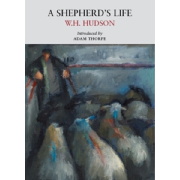 A Shepherd's Life (häftad, eng)