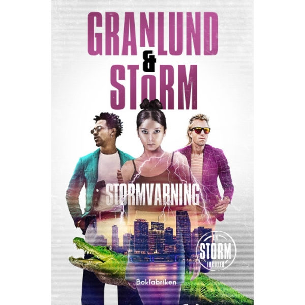 Stormvarning (bok, kartonnage)