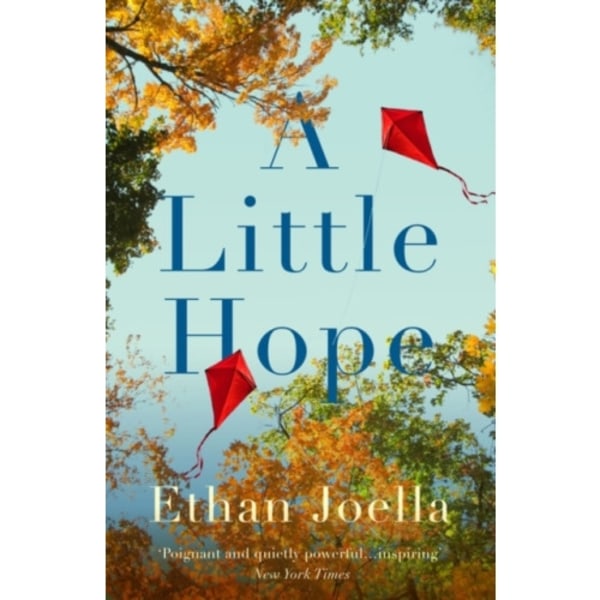 A Little Hope (inbunden, eng)