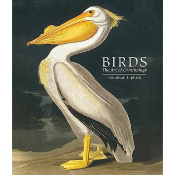 Birds (inbunden, eng)