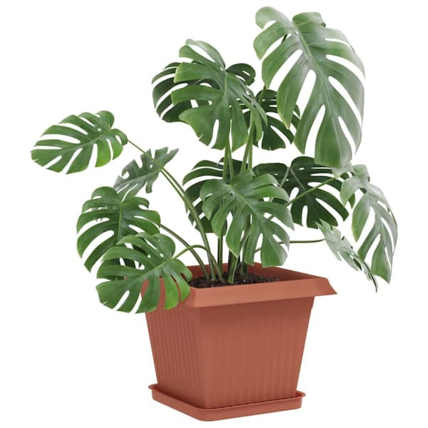 Växtkrukor 24 pcs Murgrön 33 x 33 x 26 cm Plast