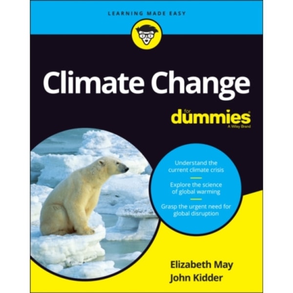 Climate Change For Dummies (häftad, eng)