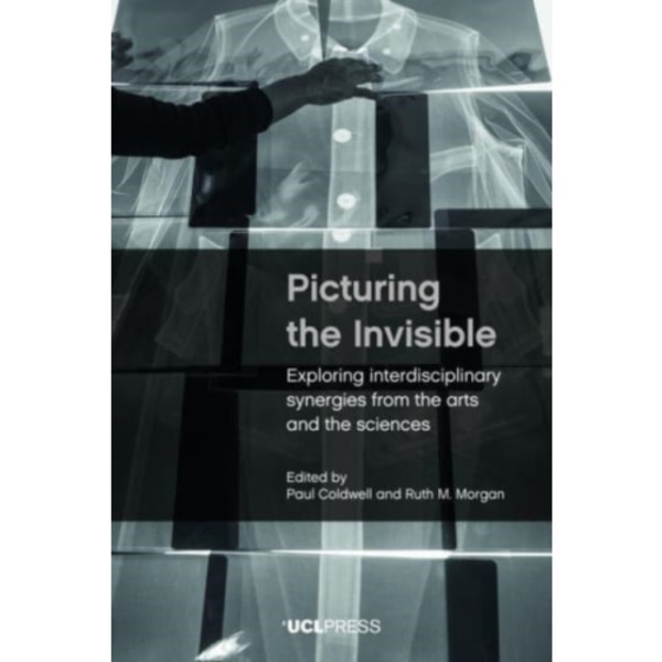 Picturing the Invisible (häftad, eng)
