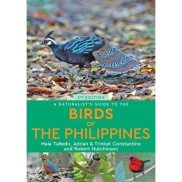A Naturalist’s Guide to the Birds of the Philippines (2nd edition) (häftad, eng)