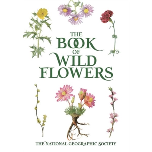 Book of Wild Flowers (häftad, eng)