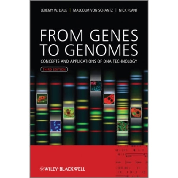 From Genes to Genomes (häftad, eng)