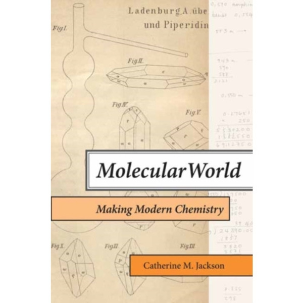 Molecular World (häftad, eng)