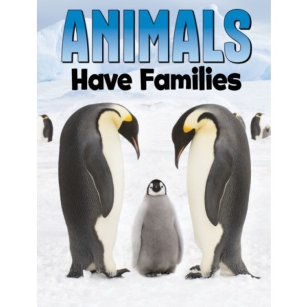 Animals Have Families (inbunden, eng)