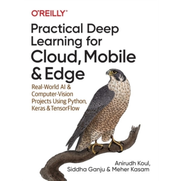 Practical Deep Learning for Cloud and Mobile (häftad, eng)