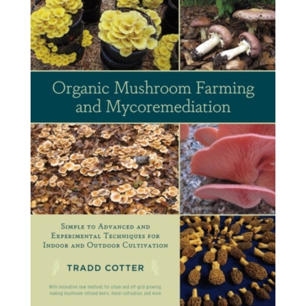 Organic Mushroom Farming and Mycoremediation (häftad, eng)