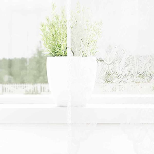Spetsgardin med gardiner Vit 300 x 245 cm Polyester