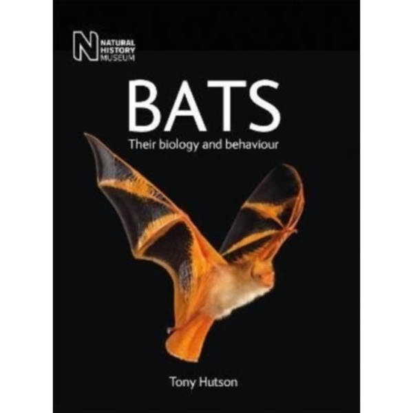 Bats (häftad, eng)