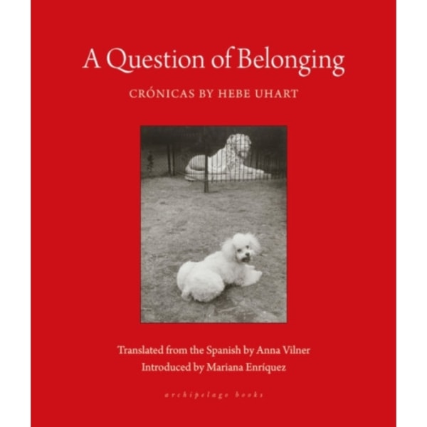 A Question of Belonging (häftad, eng)
