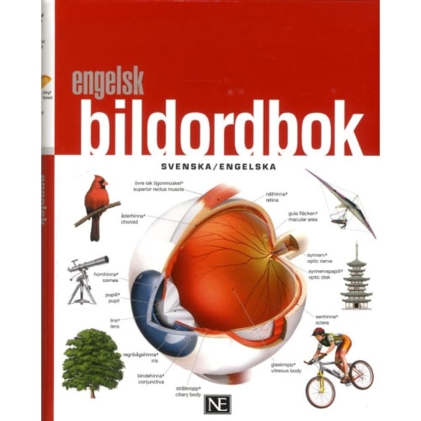 Engelsk bildordbok svenska/engelska (bok, flexband)