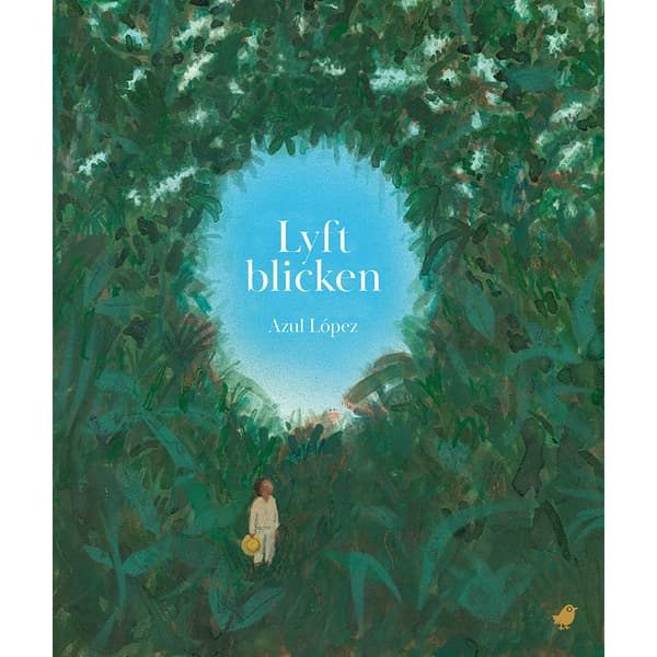 Lyft blicken (bok, kartonnage)