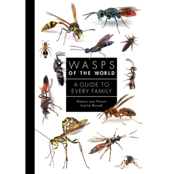 Wasps of the World (inbunden, eng)